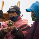 Массовое самоубийство птиц в Эквадоре — чем не повод для фольклорного фестиваля?
